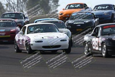 media/Feb-22-2025-CalClub SCCA (Sat) [[57201885c5]]/Group Two/Group 2B/